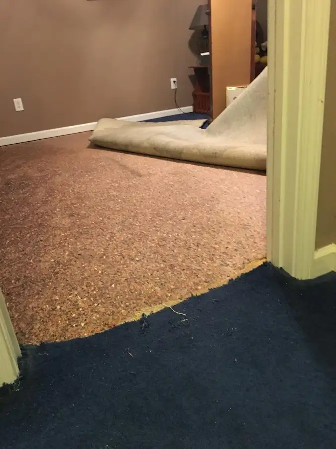 Carpet pad removal revealing water damage during Drying & Dehumidification in Reisterstown