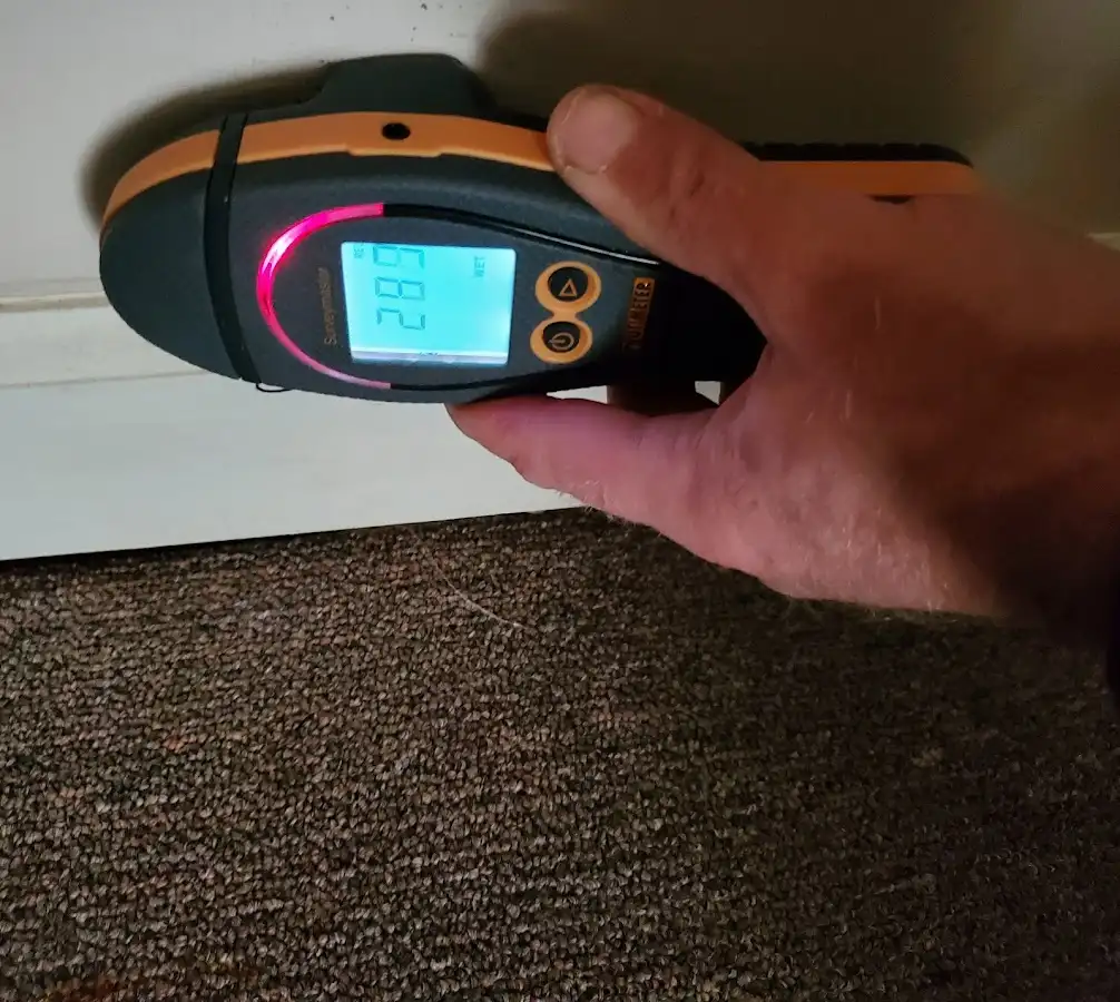 Moisture detection at baseboard during Sewage Cleanup & Sanitation in Reisterstown